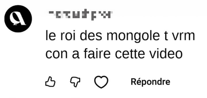 Commentaire haineux reçu, capture d'écran