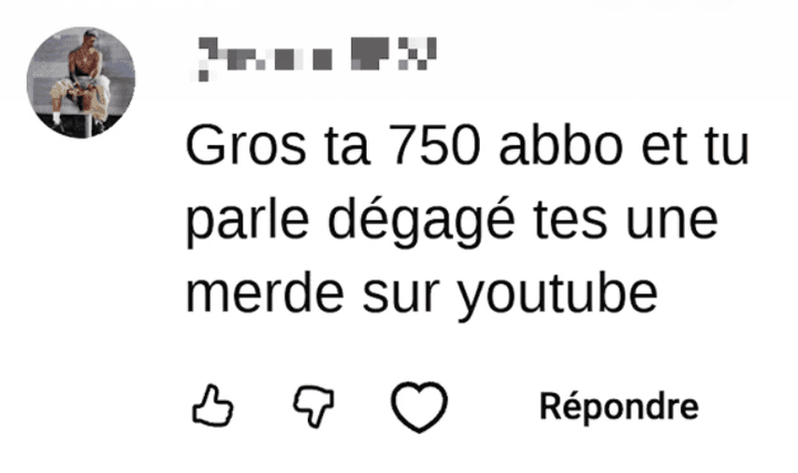 Commentaire haineux reçu, capture d'écran
